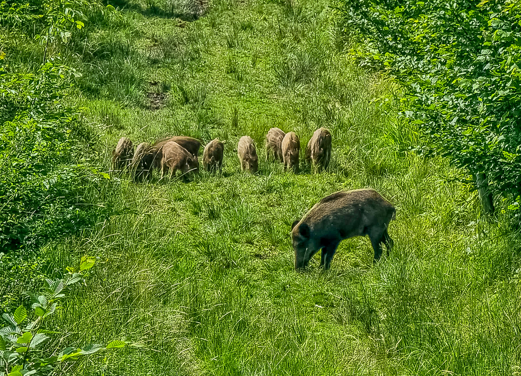 fach-1_-img-20250609_3