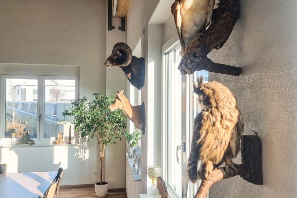 Jagdschule Kälble umgezogen