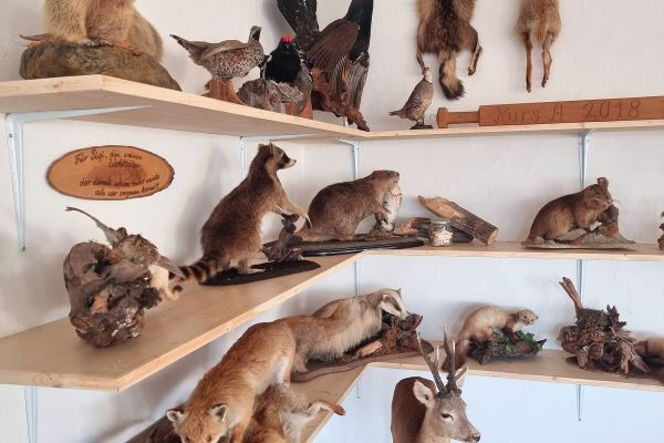 Jagdschule Kälble umgezogen