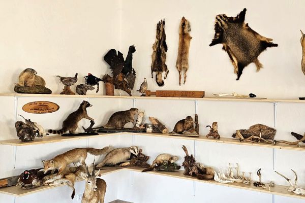 Jagdschule Kälble umgezogen